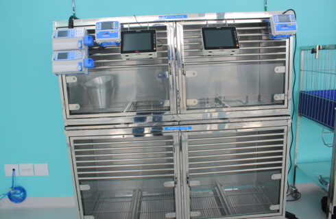 UTI 02