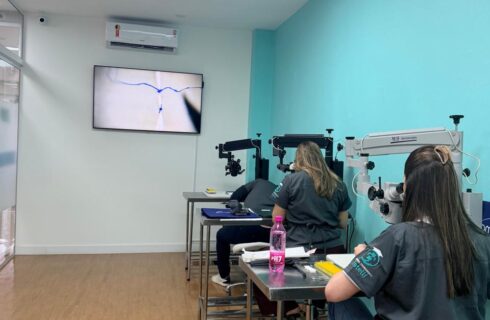 treinamento01