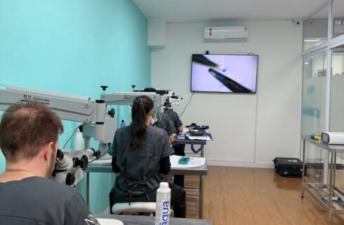 treinamento03